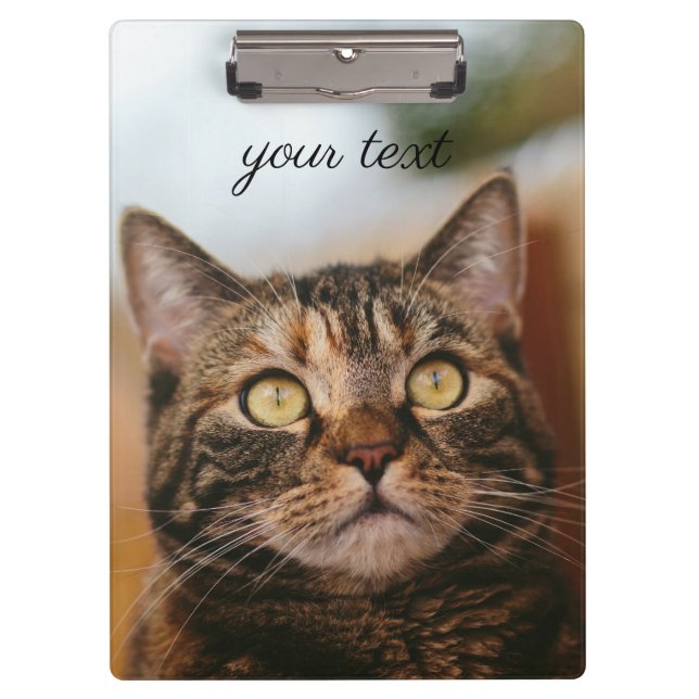 Cat's Eyes Clipboard (Front)