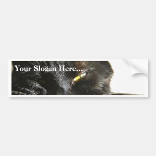 Cats Eyes Furry Whiskers Black Bumper Sticker