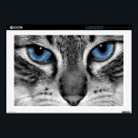 Cat's Eyes Laptop Decal<br><div class="desc">Close up of a blue eyed cat in black and white.</div>