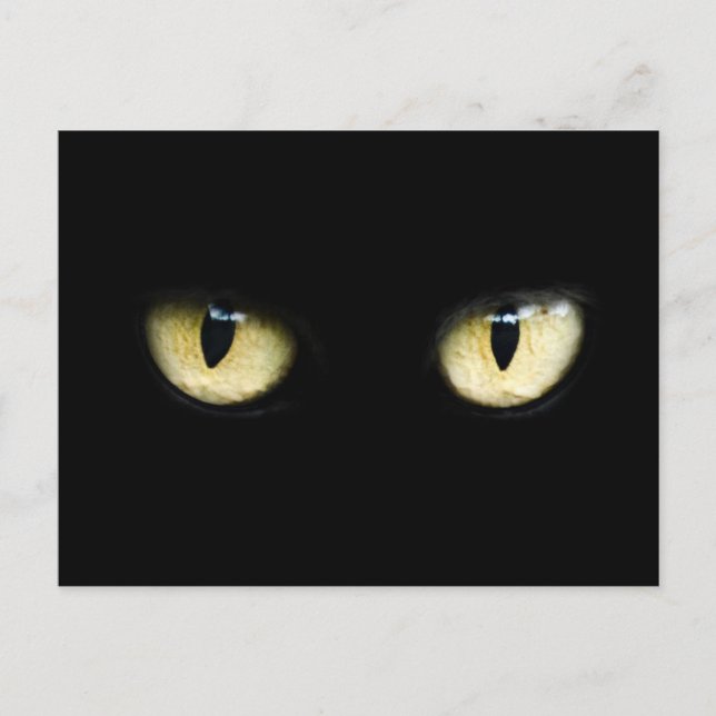 Cat's Eyes Postcard (Front)