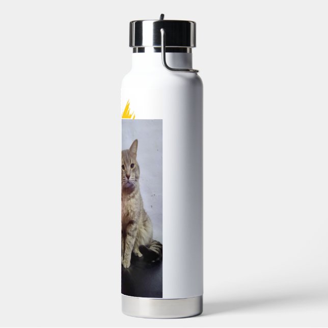 cat's face water bottle (Left)
