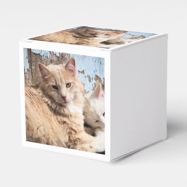 Cats Favor Boxes (Front Side)
