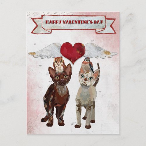 CATS  FEATHERS VALENTINES Postcard
