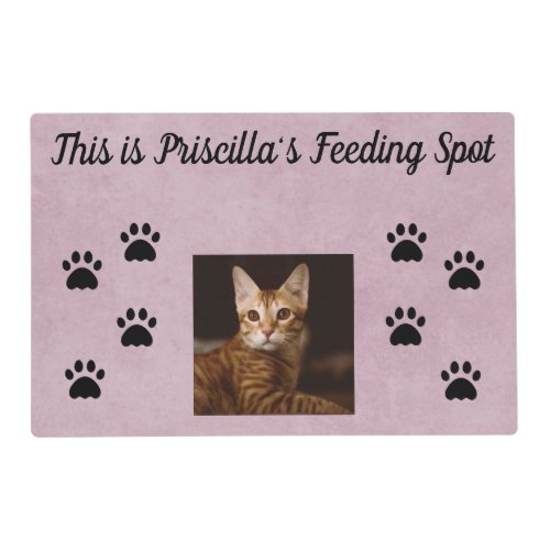 Cats Feeding Mat  Pink Background with photo