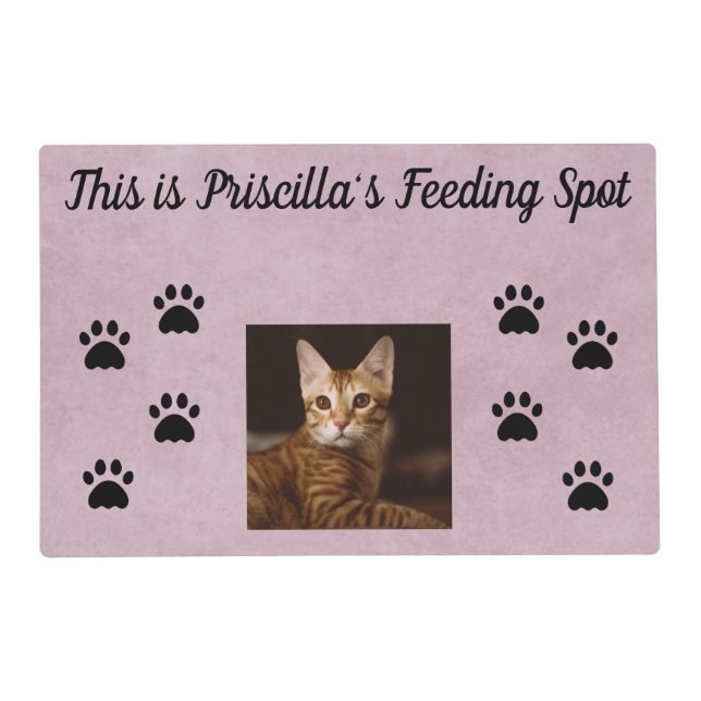 Cat's Feeding Mat | Pink Background with photo (Front)