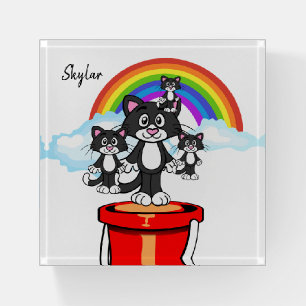 Cats Feline Rainbow Clouds Paperweight