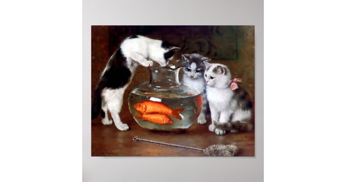 Cats Fishing in Goldfish bowl Poster | Zazzle