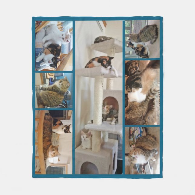 Cats Fleece Blanket (Front)