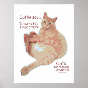 Cats for Nursing Students - I has Stress Poster