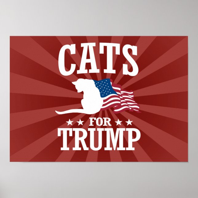 CATS FOR TRUMP POSTER (Front)