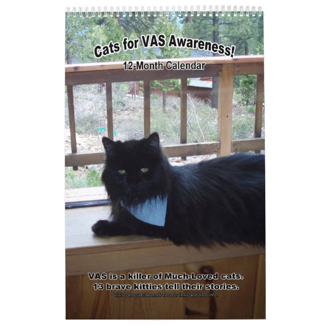 Cats for VAS Awareness! (Vertical) Calendar (Cover)