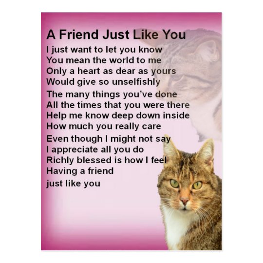 Cats Friend Poem Postcard | Zazzle.com