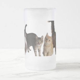 Cats frosted glass beer mug