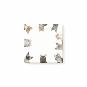 Cats | Funny Cat Lover Post-it Notes