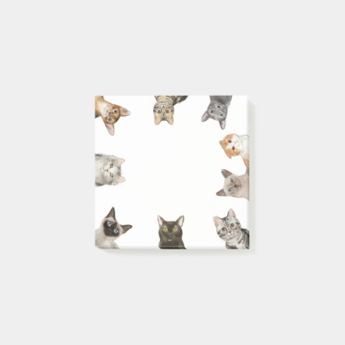 Cats  Funny Cat Lover Post_it Notes