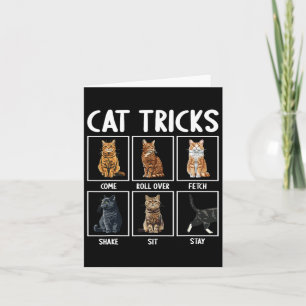 Cats Funny Cat Tricks  Card