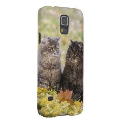 Cats Galaxy S5 Case