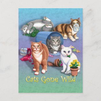 Cats Gone Wild Postcard by gailgastfield at Zazzle