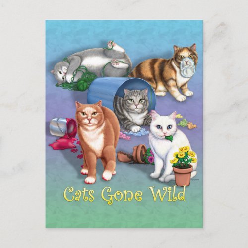 Cats Gone Wild Postcard