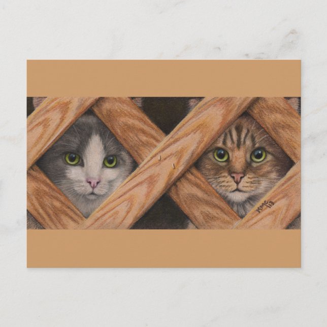 Cats Gray Tabby behind lattice fence postcard (Front)