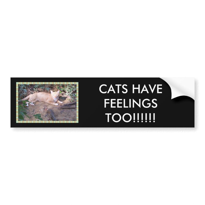 CATS HAVE FEELINGS TOO BUMPER STICKER