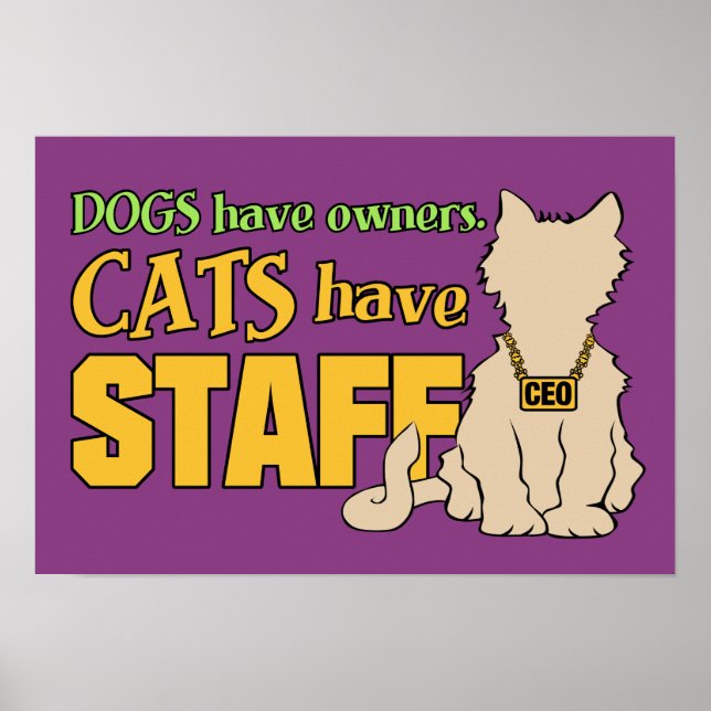 CATS HAVE STAFF custom poster (Front)