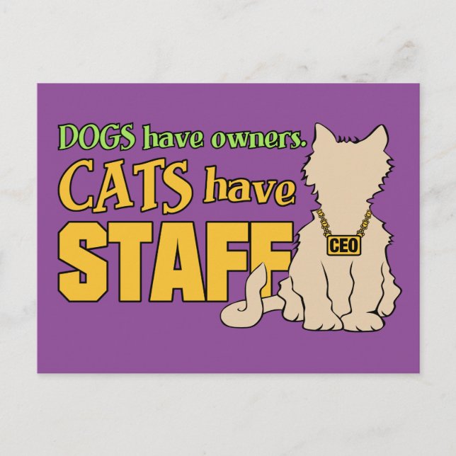 CATS HAVE STAFF postcard (Front)