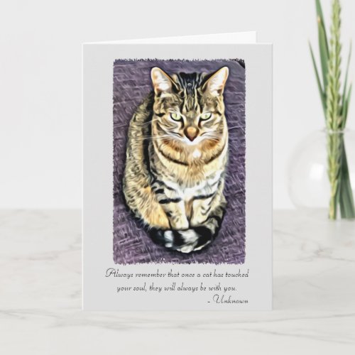Cats have touched your soul Pet Sympathy Card