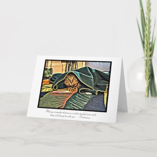 Cats have touched your soul Pet Sympathy Card