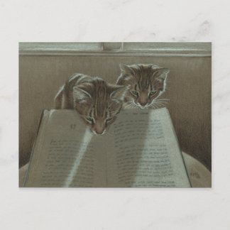 Cats helping me read book postcard