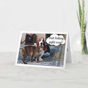 CATS HIDES BEHIND BASSET HOUND-BIRTHDAY WISHES CARD