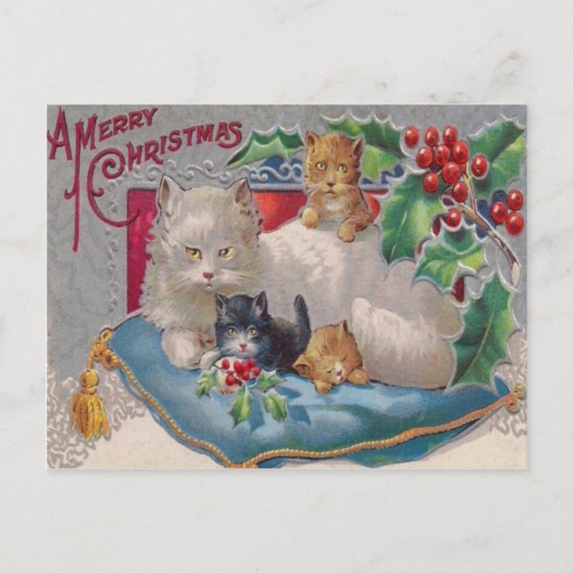 Cats & Holly Postcard (Front)
