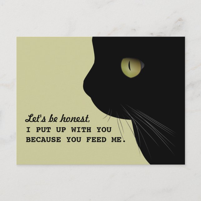 Cats Honest Attitude Funny Postcard (Front)