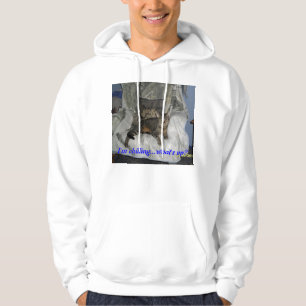 cats, humor hoodie