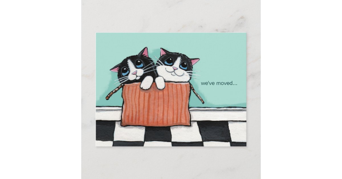 Cats In A Packing Box Weve Moved Announcement Zazzle
