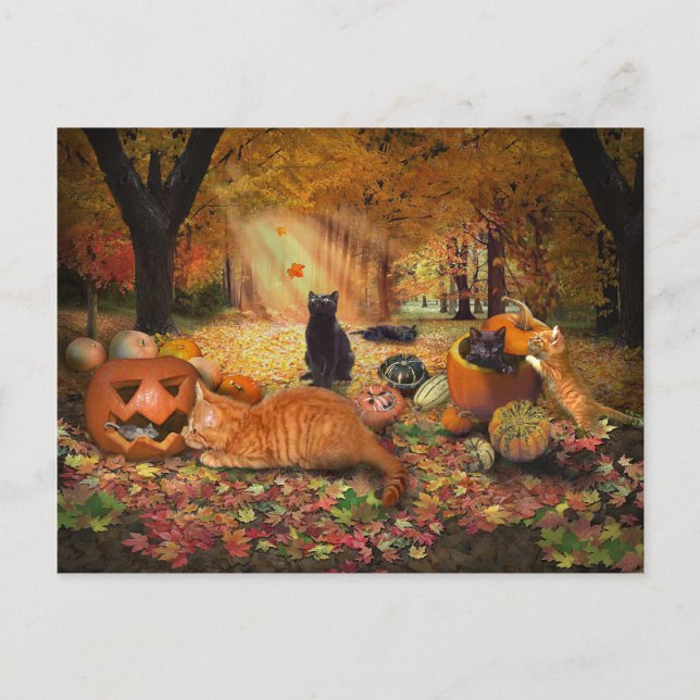 Cats in Autumn Postcard (Front)