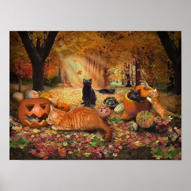 Cats in Autumn Poster (Front)