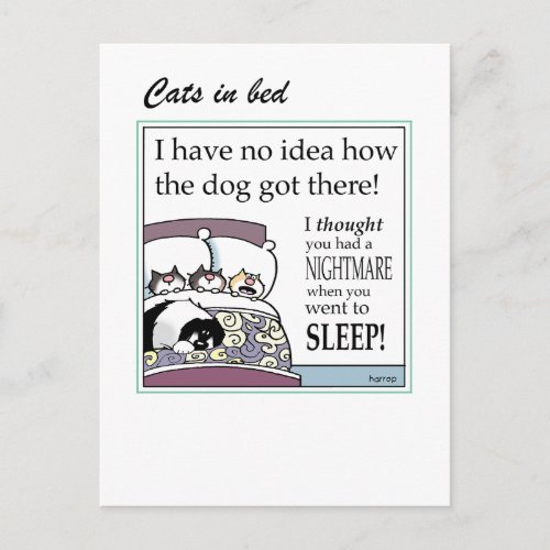 Cats in bed card