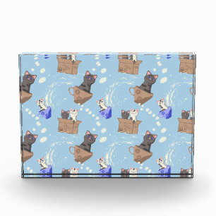 Cats in box and milk drops on blue photo block