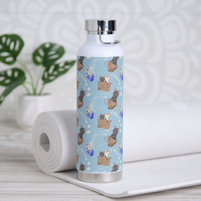 Cats in box and milk drops on blue water bottle (Yoga)