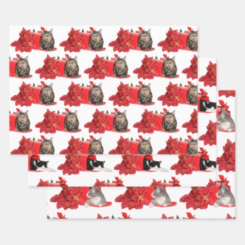 Cats in Christmas mail box Wrapping Paper Sheets