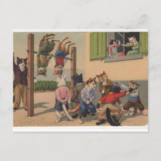 Cats in Costume, Gym Class Brawl, Postcard