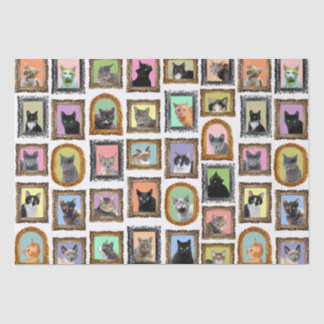 Cats in Frames Tissue Paper
