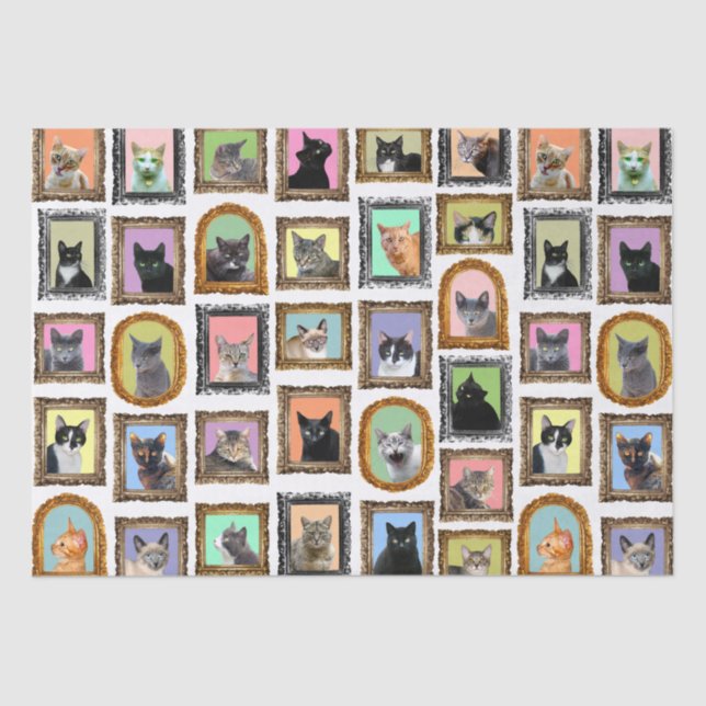 Cats in Frames Tissue Paper (Front)