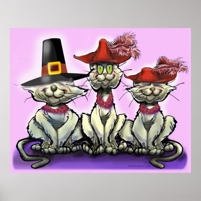 Cats in Funny Hats Poster (Front)