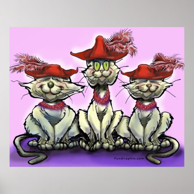 Cats in Funny Hats Poster (Front)