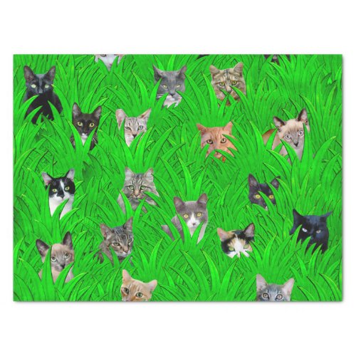 Cats in Grass Tissue Paper