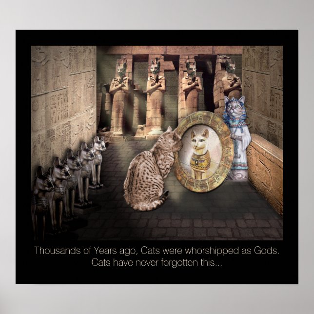 Cats in Old Egypt Poster (Front)