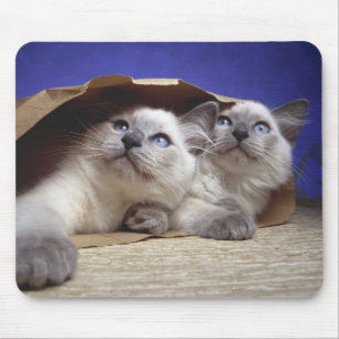 Cats in paper bag mouse pad