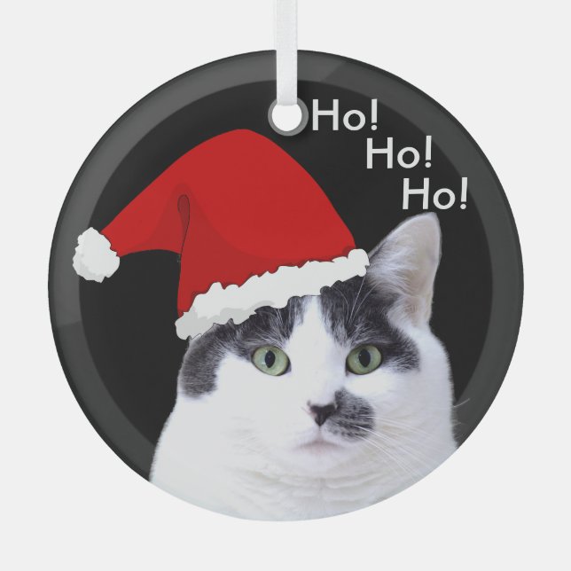 Cats in Santa Hats Christmas Glass Ornament (Front)